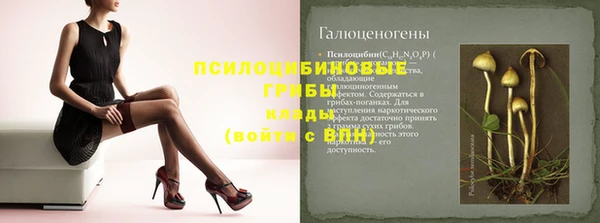 бутират Заводоуковск
