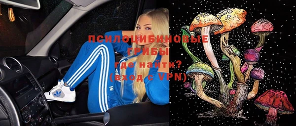 соль ск Зеленокумск