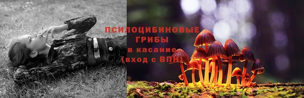 соль ск Зеленокумск
